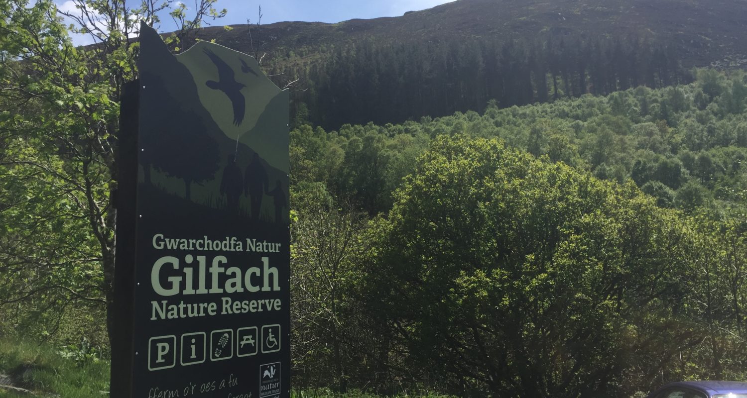 Mid Wales Holiday Lets near Gilfach
