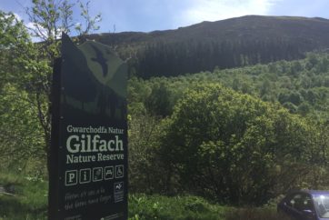 Mid Wales Holiday Lets near Gilfach
