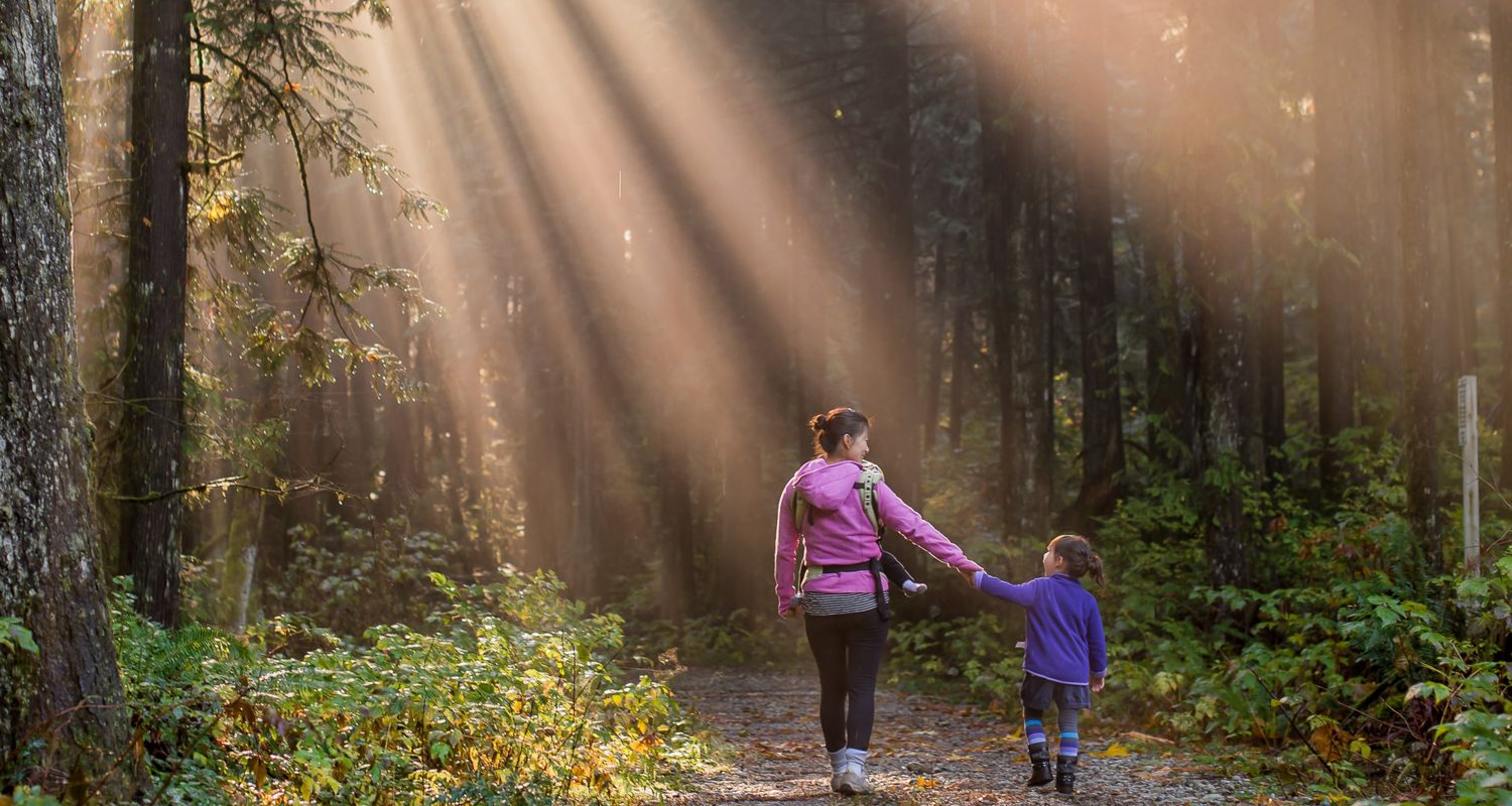 Explore Cambrian Mountains and Elan Valley with Mid Wales Holiday Lets as your base