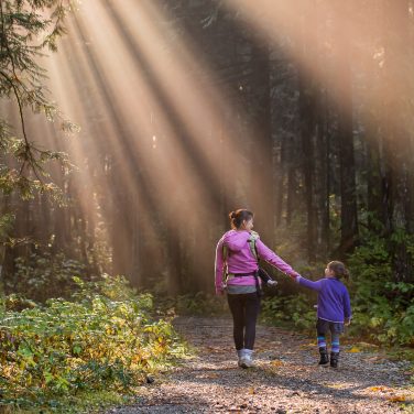 Explore Cambrian Mountains and Elan Valley with Mid Wales Holiday Lets as your base